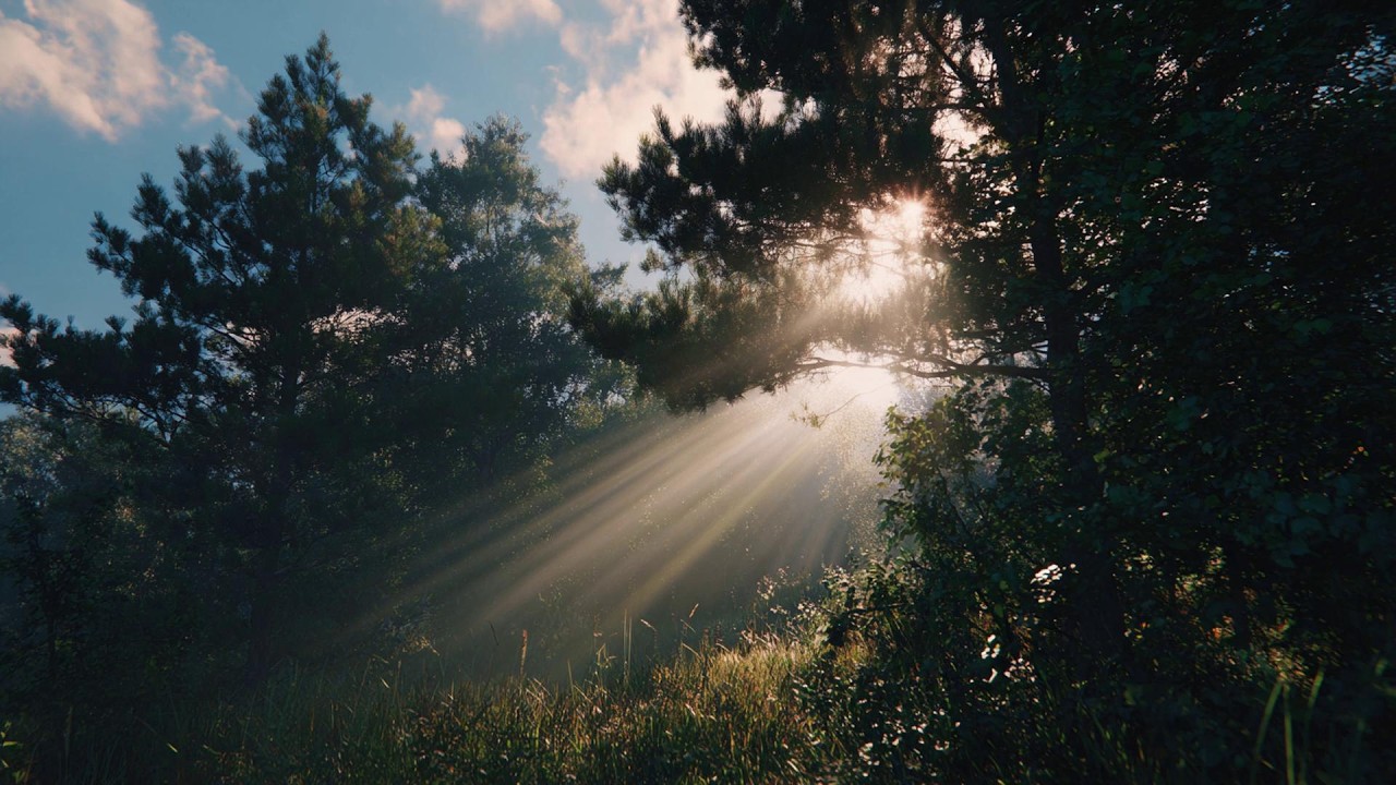 a playlist for a quiet morning ✨ (calm version) pt.2