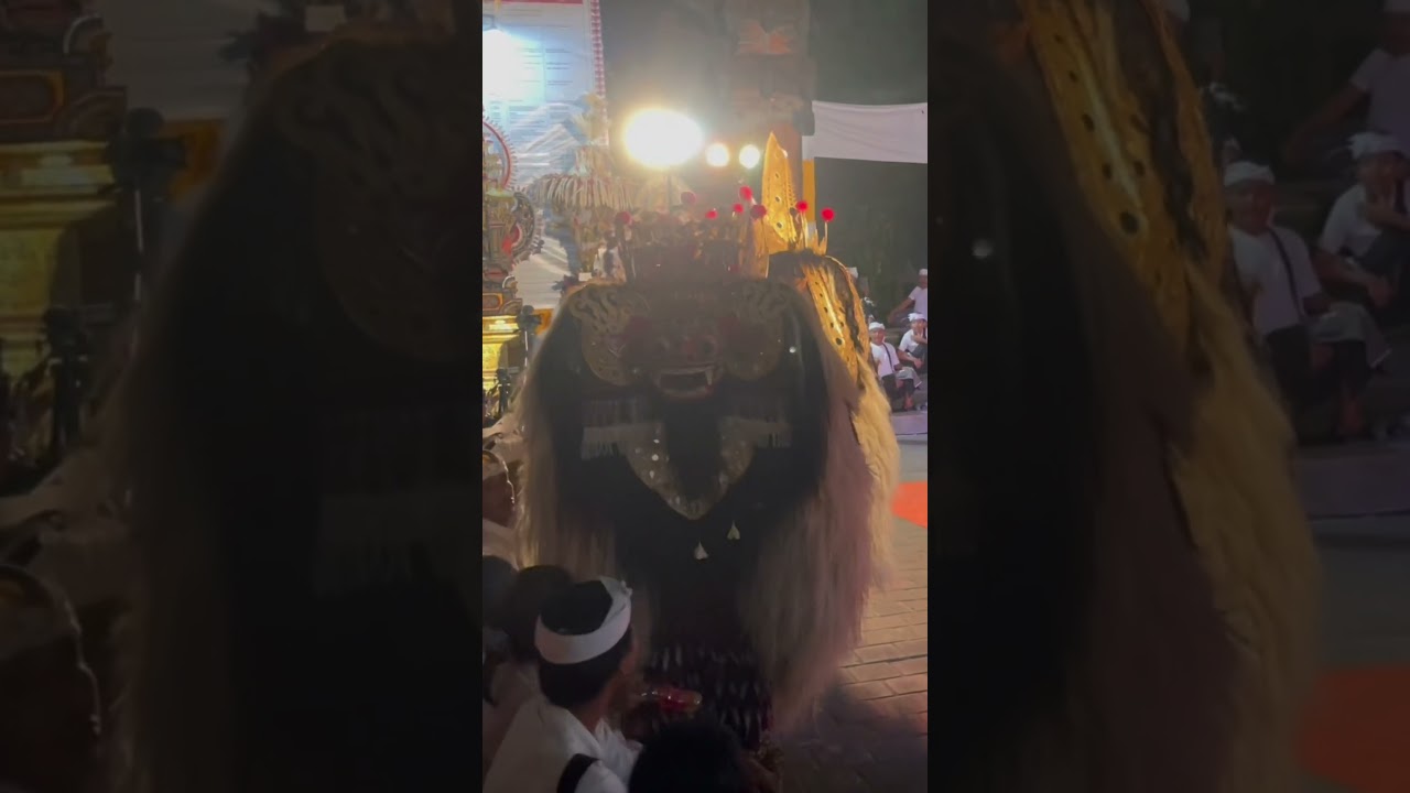 Barong Mebangkesssss😁 #budaya #karawitanbali #senitari #bapangbarong
