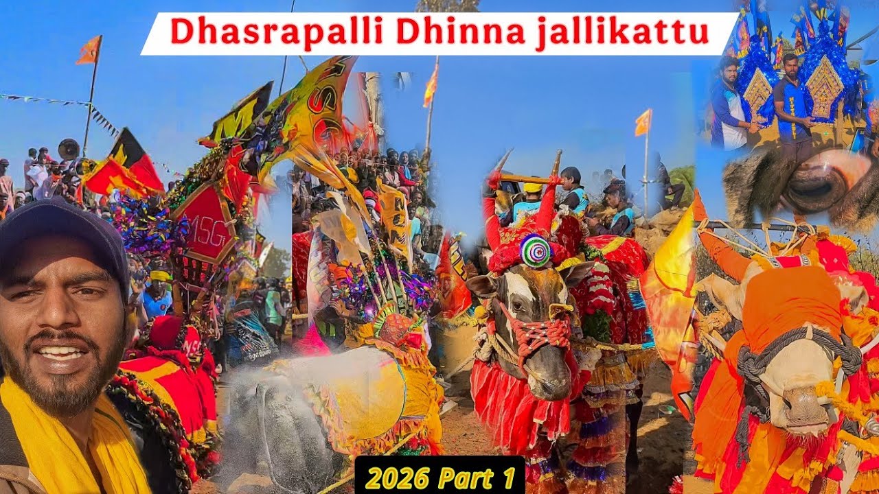 Dhasrapalli Dhinna jallikattu | Part 1 | தாசாரபல்லி அதுக்கட்டு 2026 | #jallikattu #bullfestival 