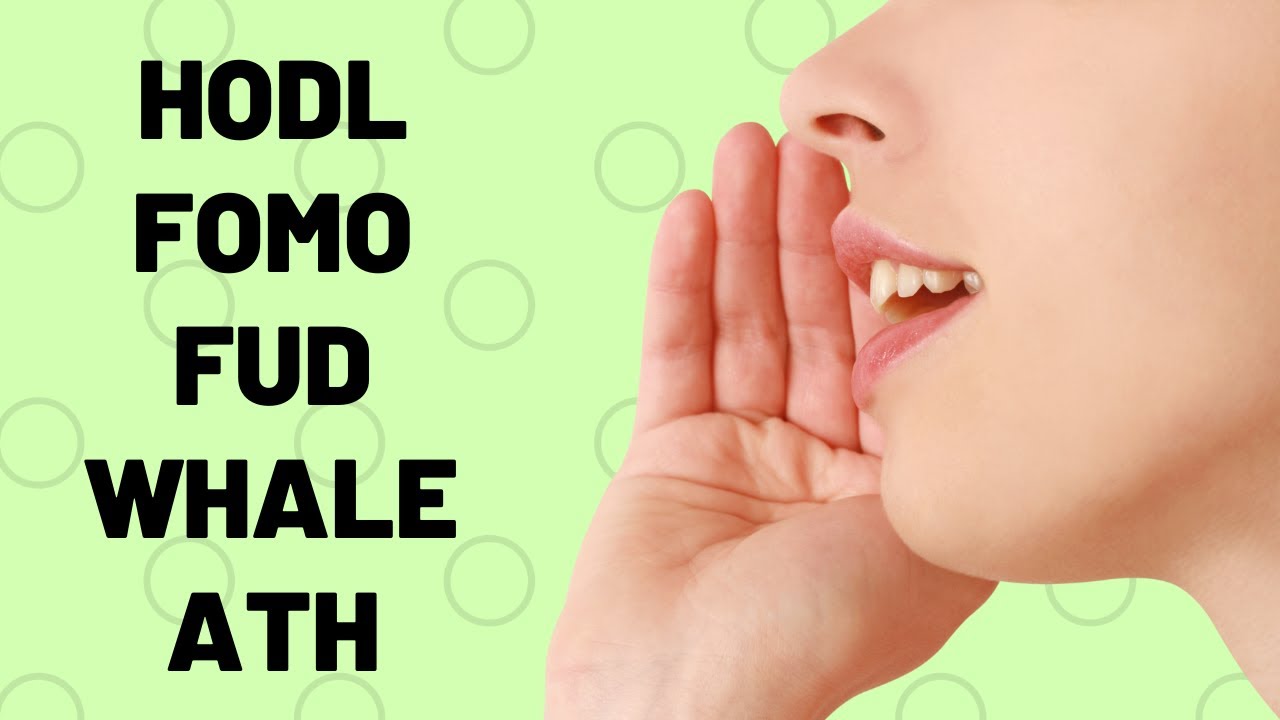 HODL, ATH, Whale - What Do These Mean? Crypto Slang EXPLAINED!!