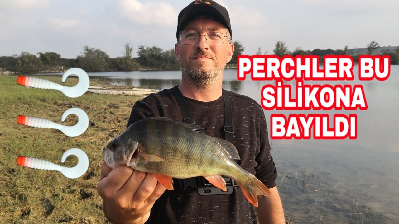 PERCH BALIĞINI EN GÜZEL KANDIRAN SİLİKON.