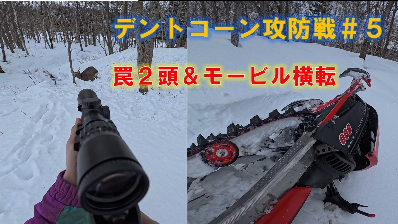 【エゾシカ駆除】罠見回り＆モービル横転でえらい目にあった―R7年度206&207頭目