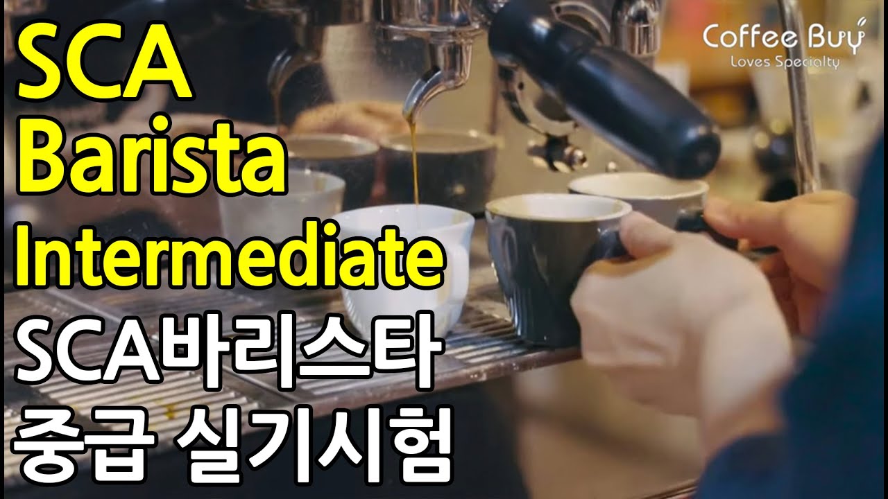 [SUB] SCA(스페셜티커피협회) 커피 바리스타 중급 자격증 실기시험 | SCA Barista Intermediate Practical Test