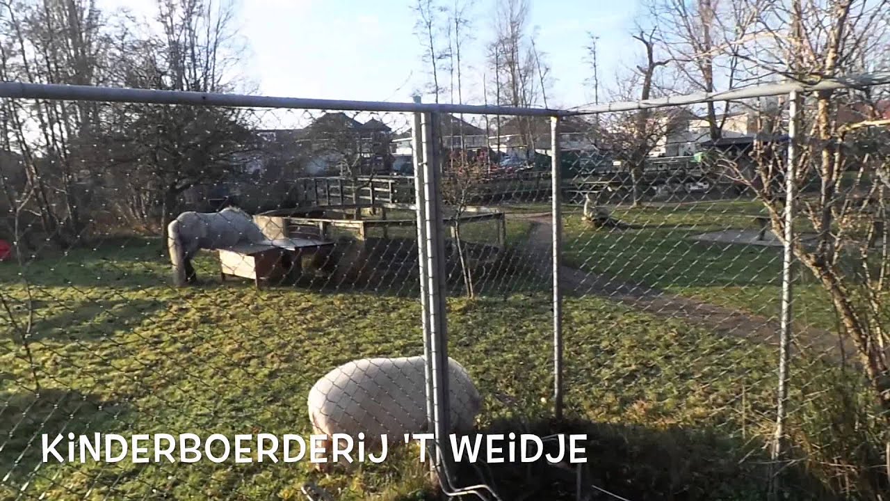 Wormer