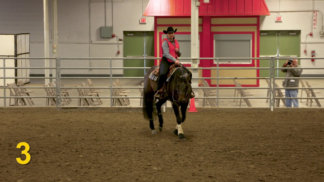 2018 National FFA Horse Eval CDE—Reigning (Class 1)