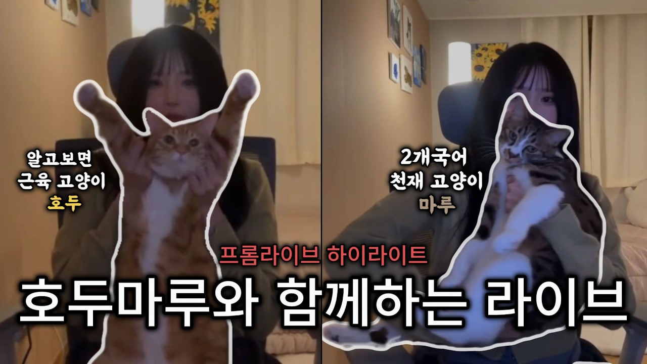 제 꿈은 호두마루 입니다. [프로미스나인 송하영 라이브 하이라이트]