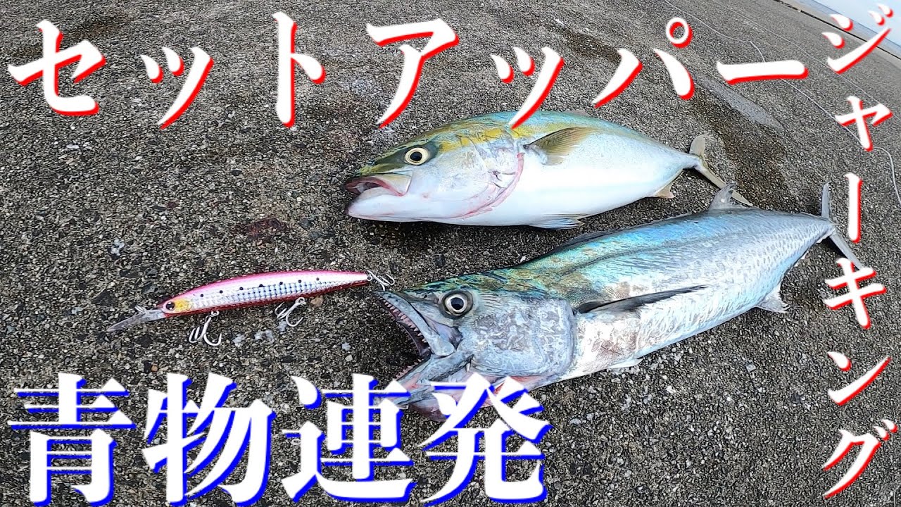 【ショアジギング】セットアッパーにアクションを加えるだけで青物連発！！
