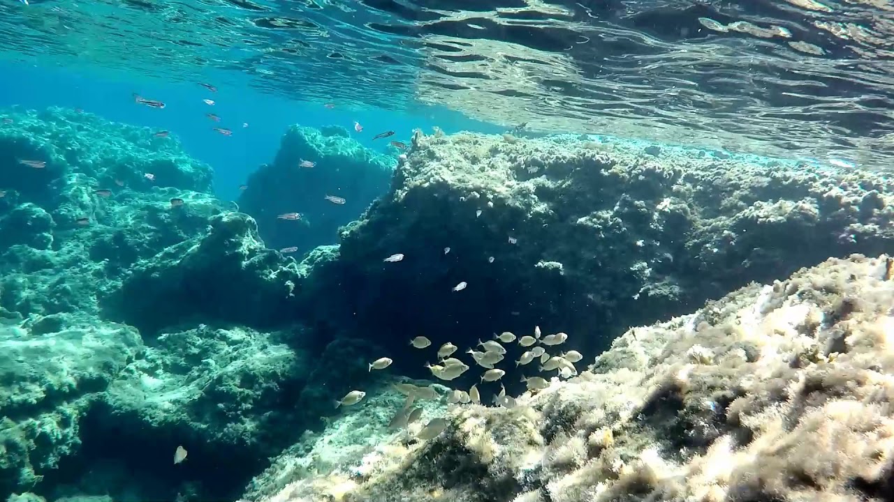Anthony Quinn Beach Underwater Video