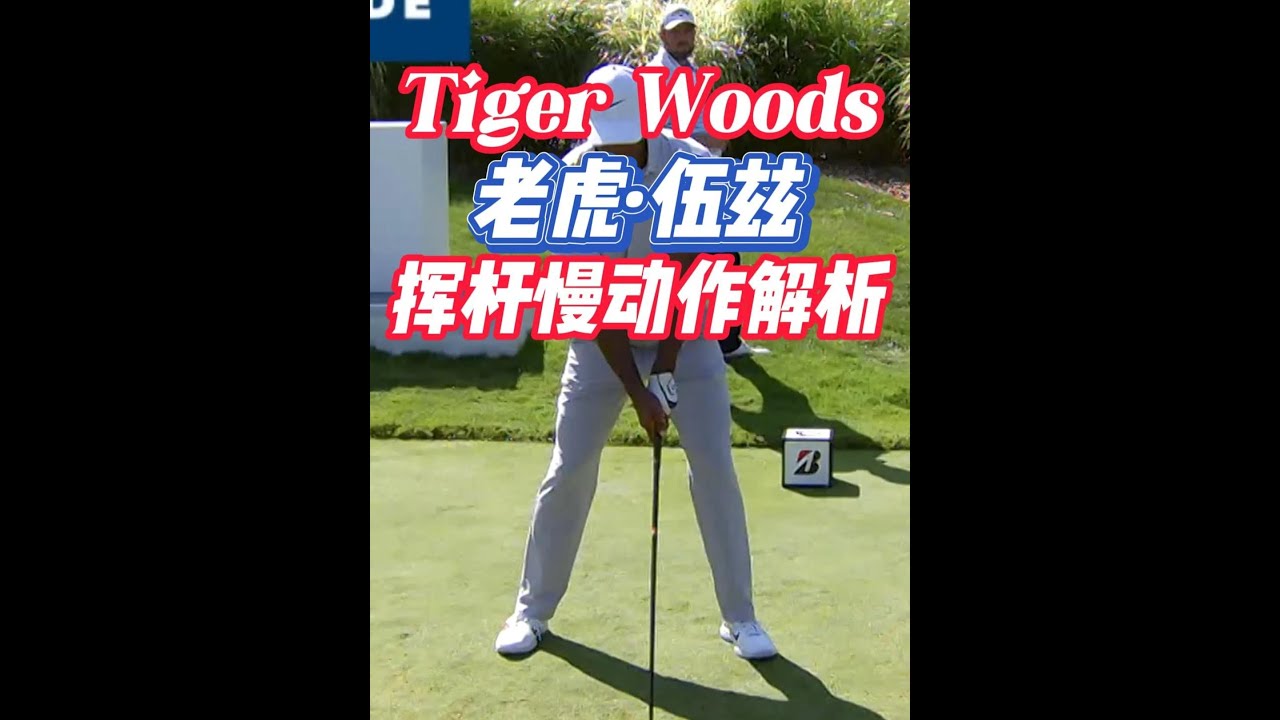 老虎伍兹一号木慢动作分析 #高尔夫 #高尔夫挥杆 #高尔夫教学 #高尔夫练习 #北京学高尔夫