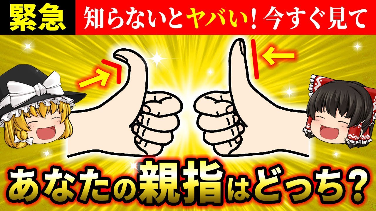 【⚠️1月10日まで】親指の反り具合と柔らかさで運命がわかる！知らないと巨億の富を逃します【ゆっくり解説】【スピリチュアル】