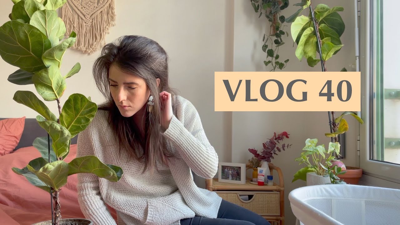 Bouturage Raphidophora, Bavardages & Recettes douceur au chocolat - VLOG 40