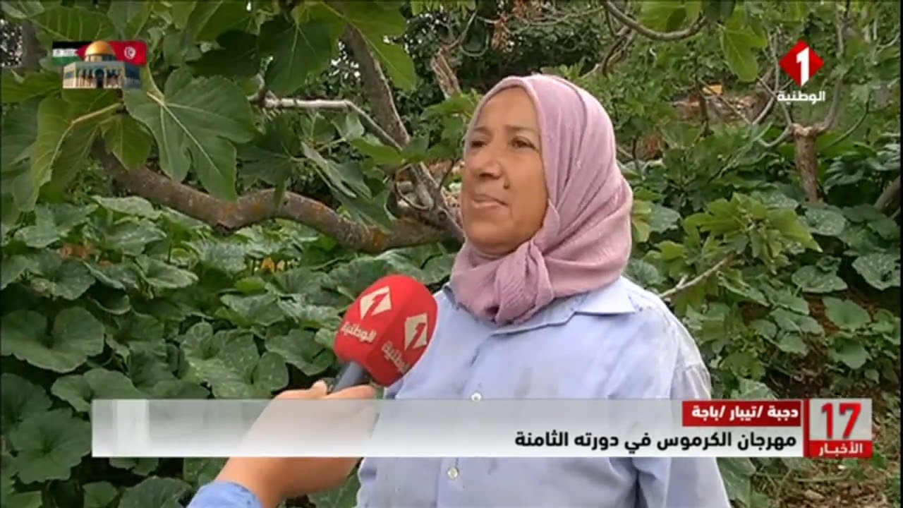 دجبة - تيبار - باجة || #مهرجان_الكرموس في دورته الثامن