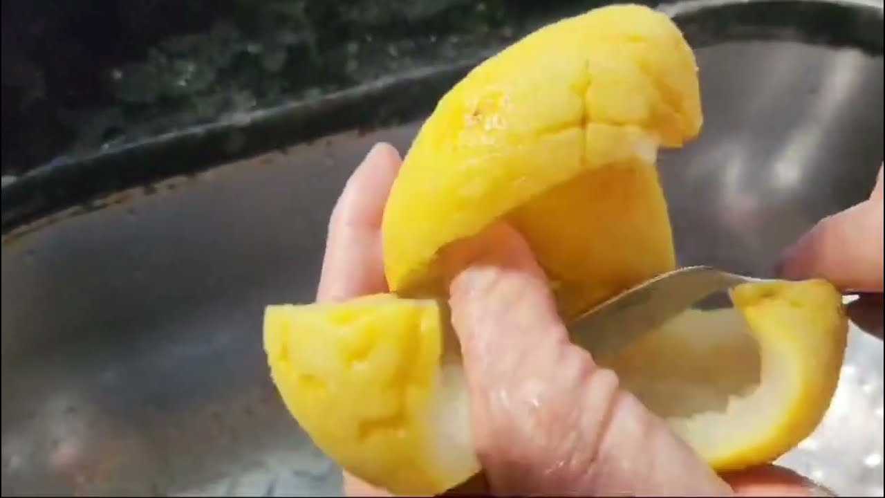 Doce de Laranja 🍊 da Terra Receita da minha mãe  com participação  de minha mãe.