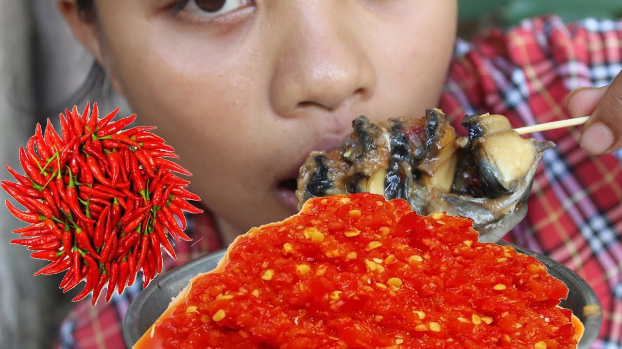 Cute girl find snail and Cooking in Forest,YuwaDaily Life