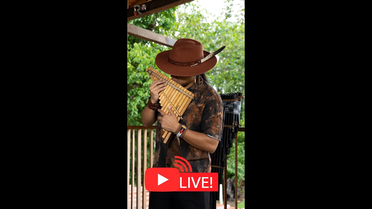 Live Music from Amazon Nature