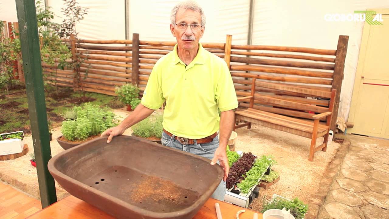 Hidroponia: saiba como montar uma horta em qualquer espaço