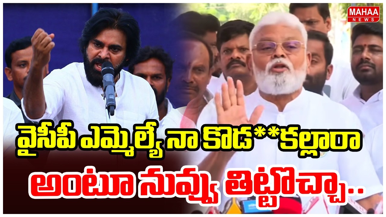 వైసీపీ ఎమ్మెల్యే నా కొడ**కల్లారా అంటూ నువ్వు తిట్టొచ్చా.. | Ambati Rambabu Comments On Pawan