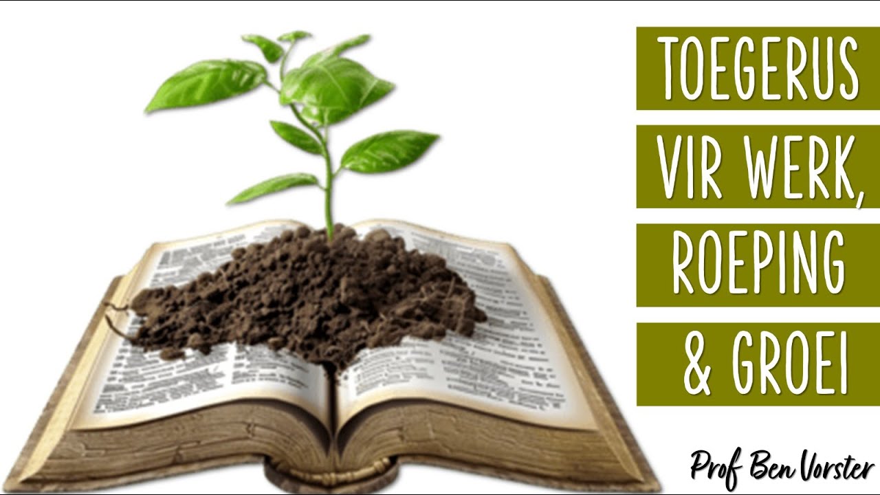 Toegerus vir werk, roeping en groei | Prof Ben Vorster