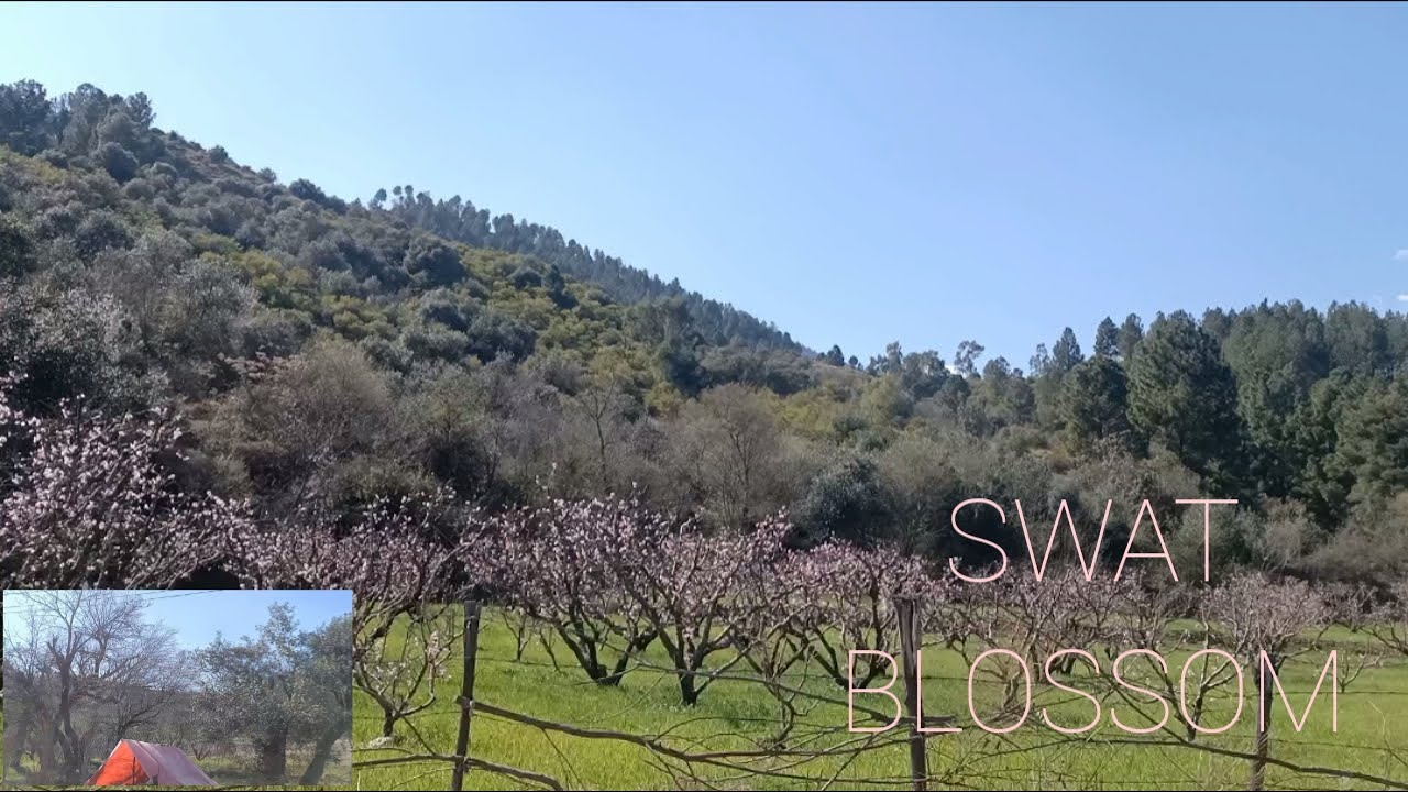Beautiful sceneries of swat Airport road // swat beauty // spring season