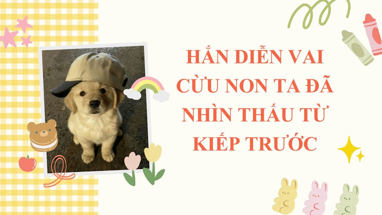 FULL/ HẮN DIỄN VAI CỪU NON TA ĐÃ NHÌN THẤU TỪ KIẾP TRƯỚC
