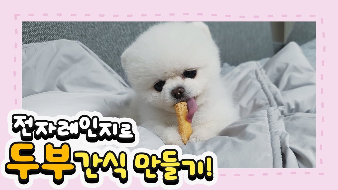 강아지 두부간식 만들기ㅣ에어프라이어, 전자렌지 둘 다 가능해요