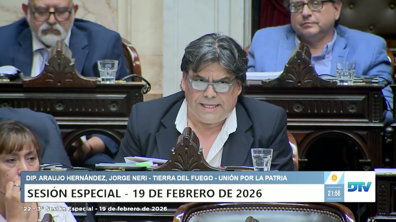 Diputado Araujo Hernández, Jorge Neri - UxP - Sesión 19-02-2026 - PL