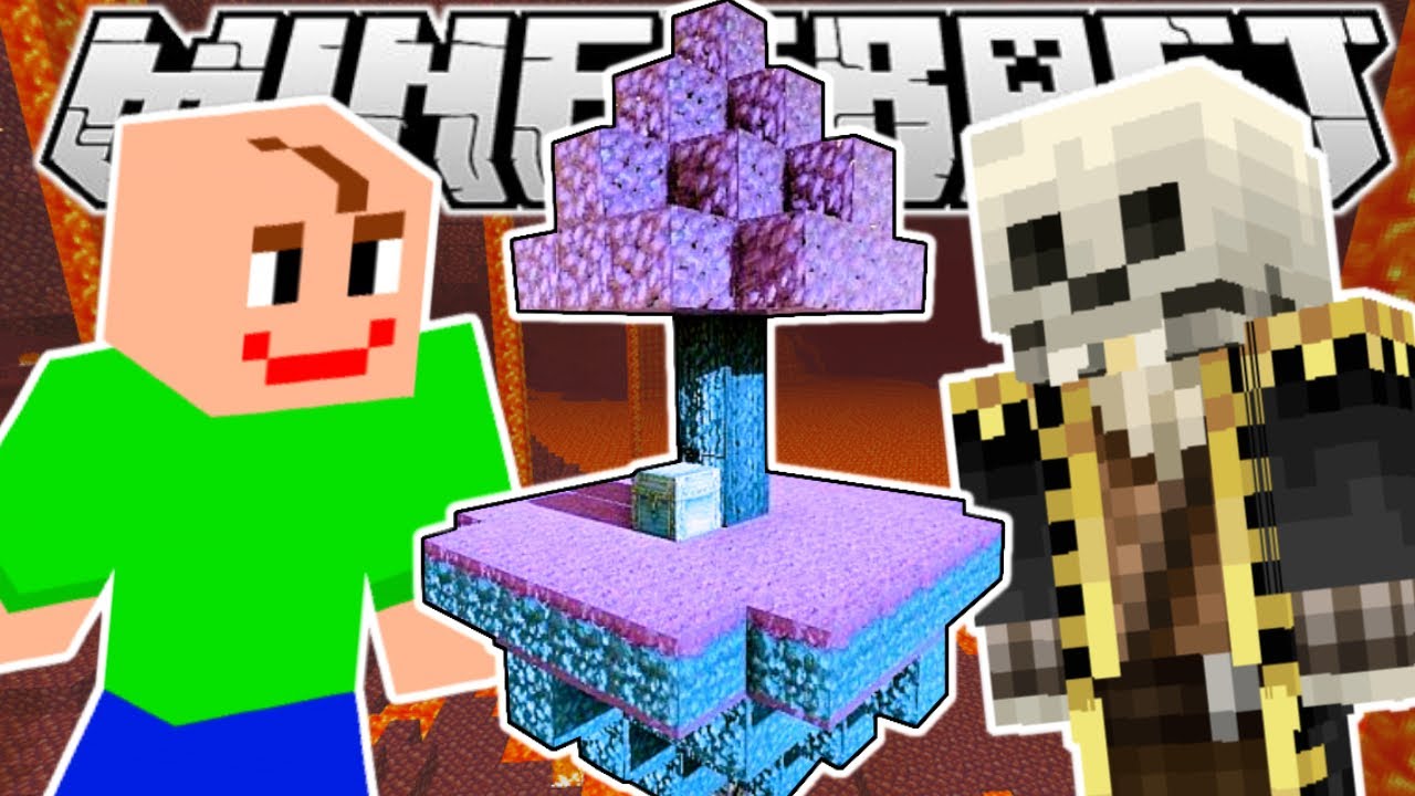 We Went To The Nether In Minecraft Skyblock!