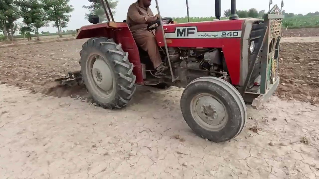 MF 240 Performance On 9 Tine Cultivator | MF 240 |