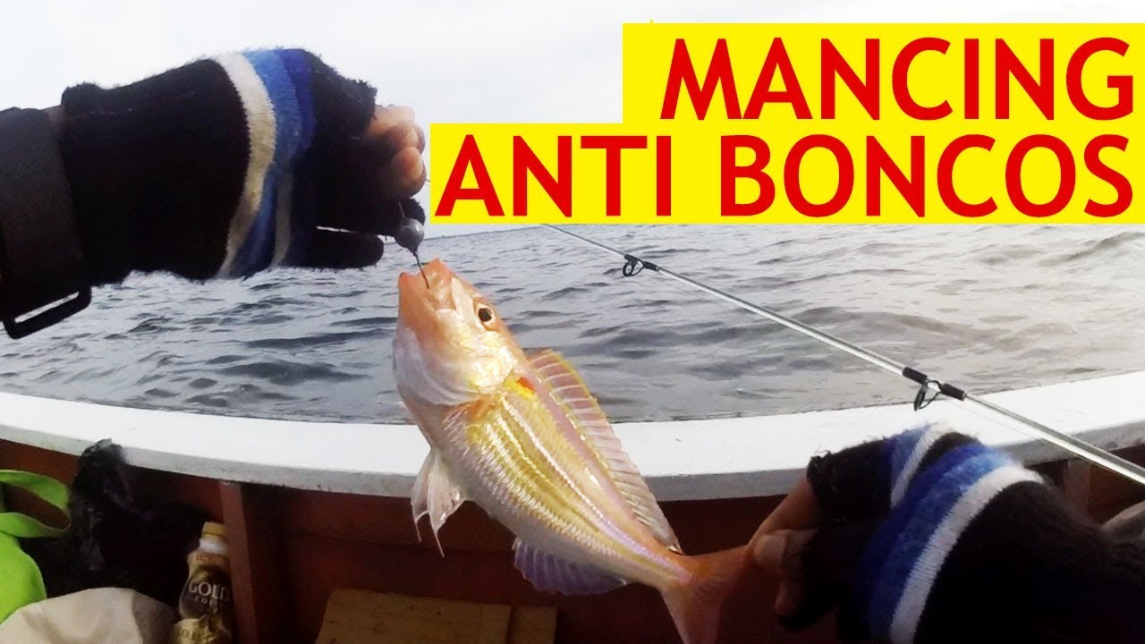ANTI BONCOS! Begini Cara Mancing Dasaran di Laut STRIKE TERUS!
