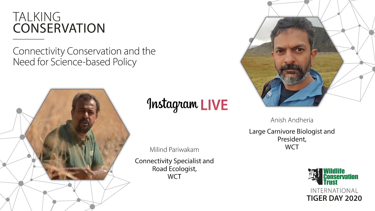 Connectivity Conservation and the Need for Science Based Policy