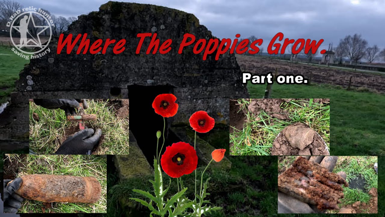 Where the poppies grow  Part one / D.RaD relic hunter