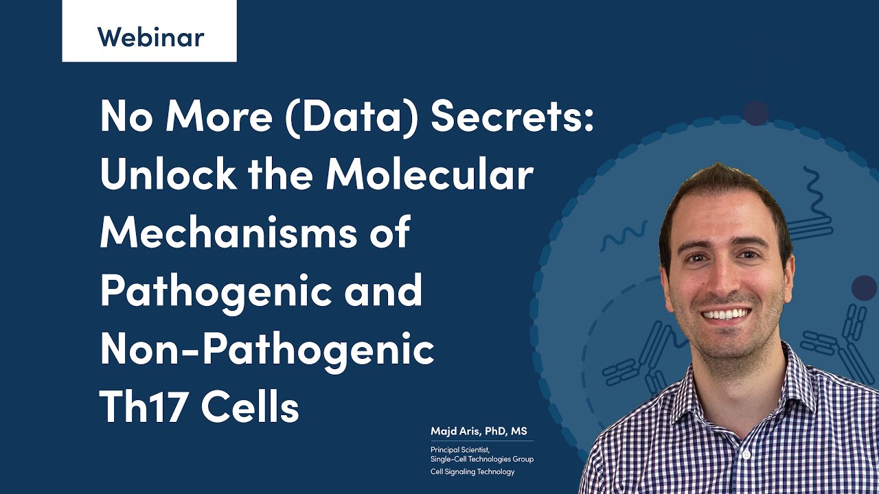 No More (Data) Secrets: Unlock the Molecular Mechanisms of Pathogenic and Non PathogenicTh17 Cells