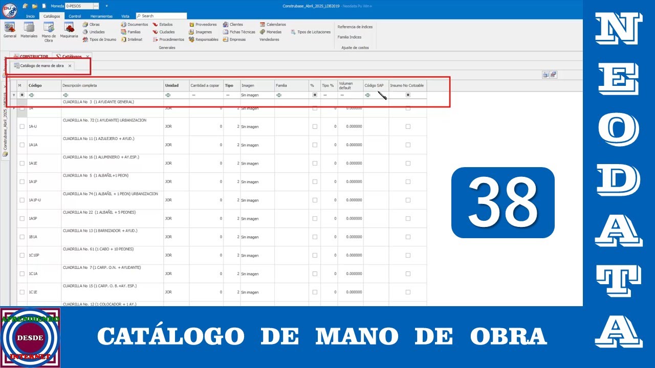 Catálogo de Mano de Obra en Neodata 2024