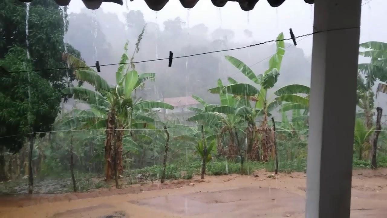 MAIS UM TEMPORAL NO SÍTIO,  MUITA CHUVA NO DOMINGO 02/02/2020 !
