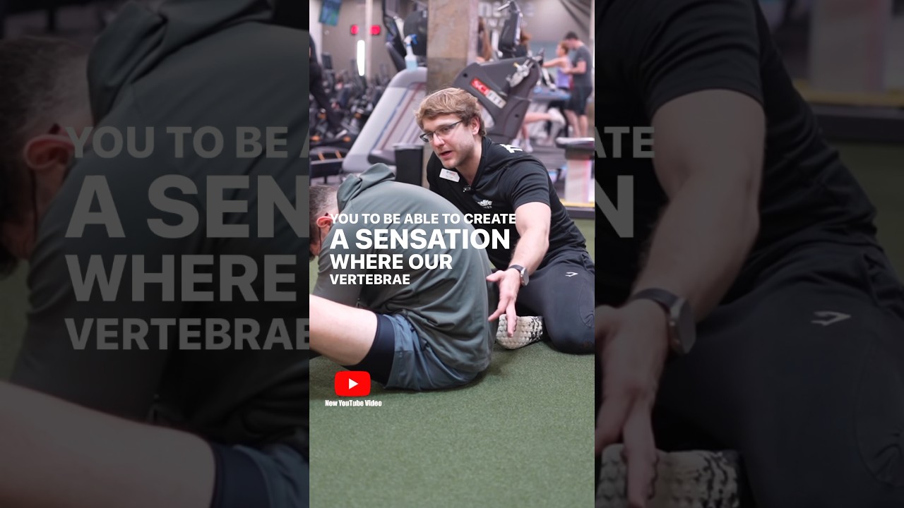 Isometrics to Increase Spine Flexion: PAILs/RAILs #bodybuilding #mobility #backpain