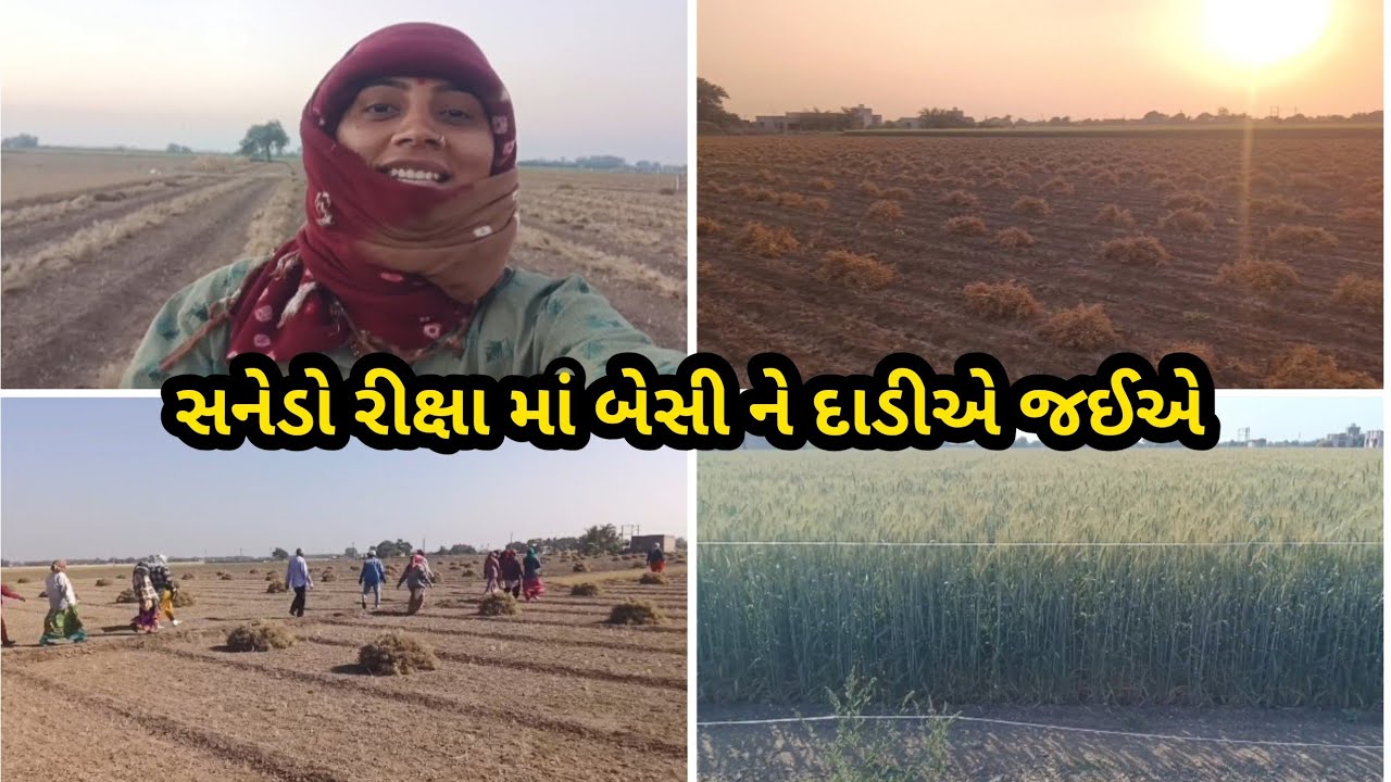 સનેડો રીક્ષા માં બેસી ને દાદીએ જઇએ #ravinamakwana #farming #kheti 