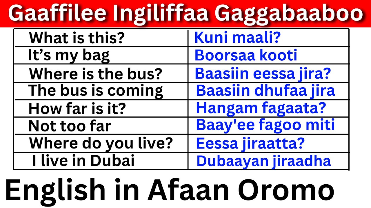 Gaaffilee Ingiliffaa Gaggabaaboo  (English in Afaan Oromo) English Question in Afaan Oromo Part 12