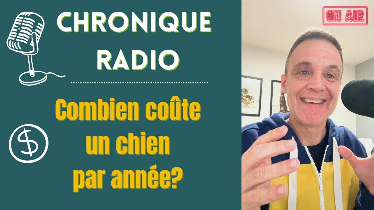 Combien COÛTE vraiment un CHIEN par ANNÉE? 🐾