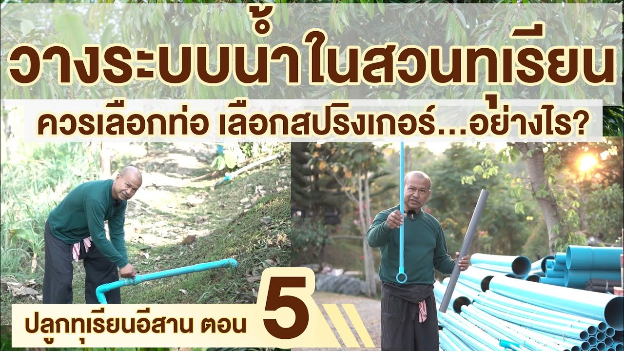 สวนตาก้าน ('66)  การวางระบบน้ำในสวนทุเรียน | ปลูกทุเรียนอีสาน ตอน 5