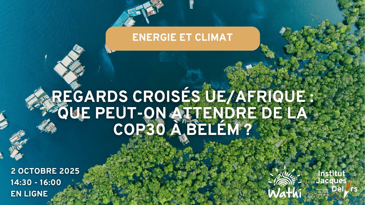 Regards croisés Europe/ Afrique : Que peut-on attendre de la COP30 à Belém ?
