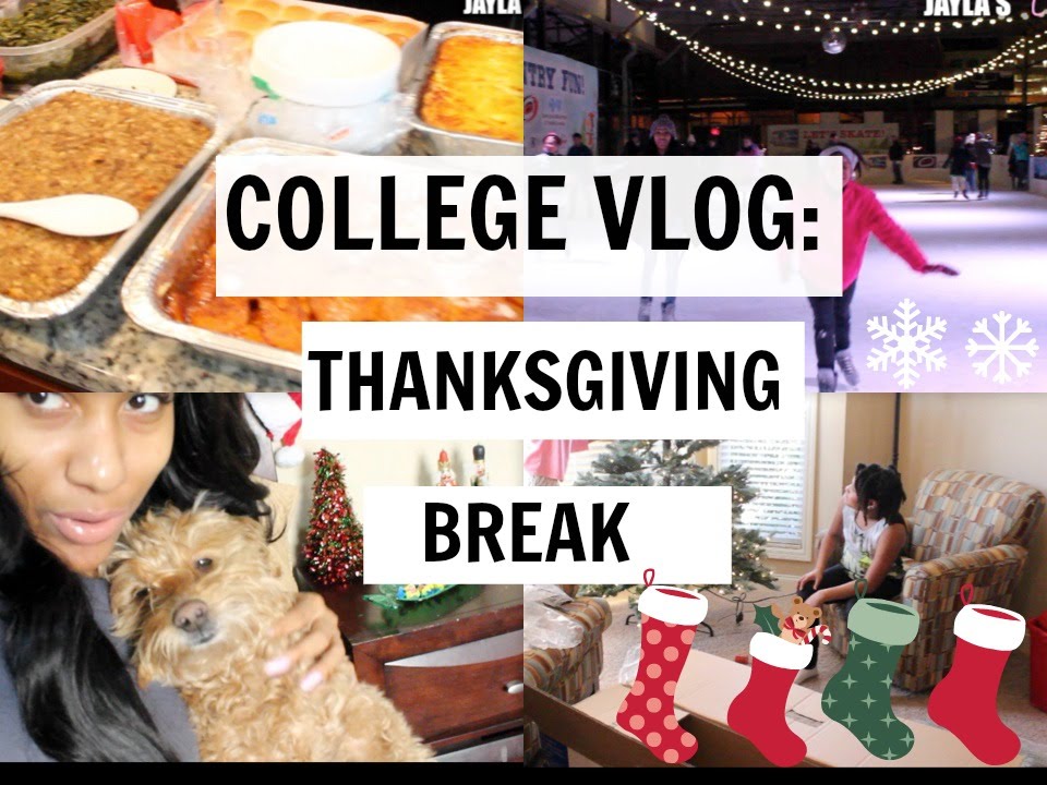 VLOG: Thanksgiving break, birthday continuation, christmas decoration #9