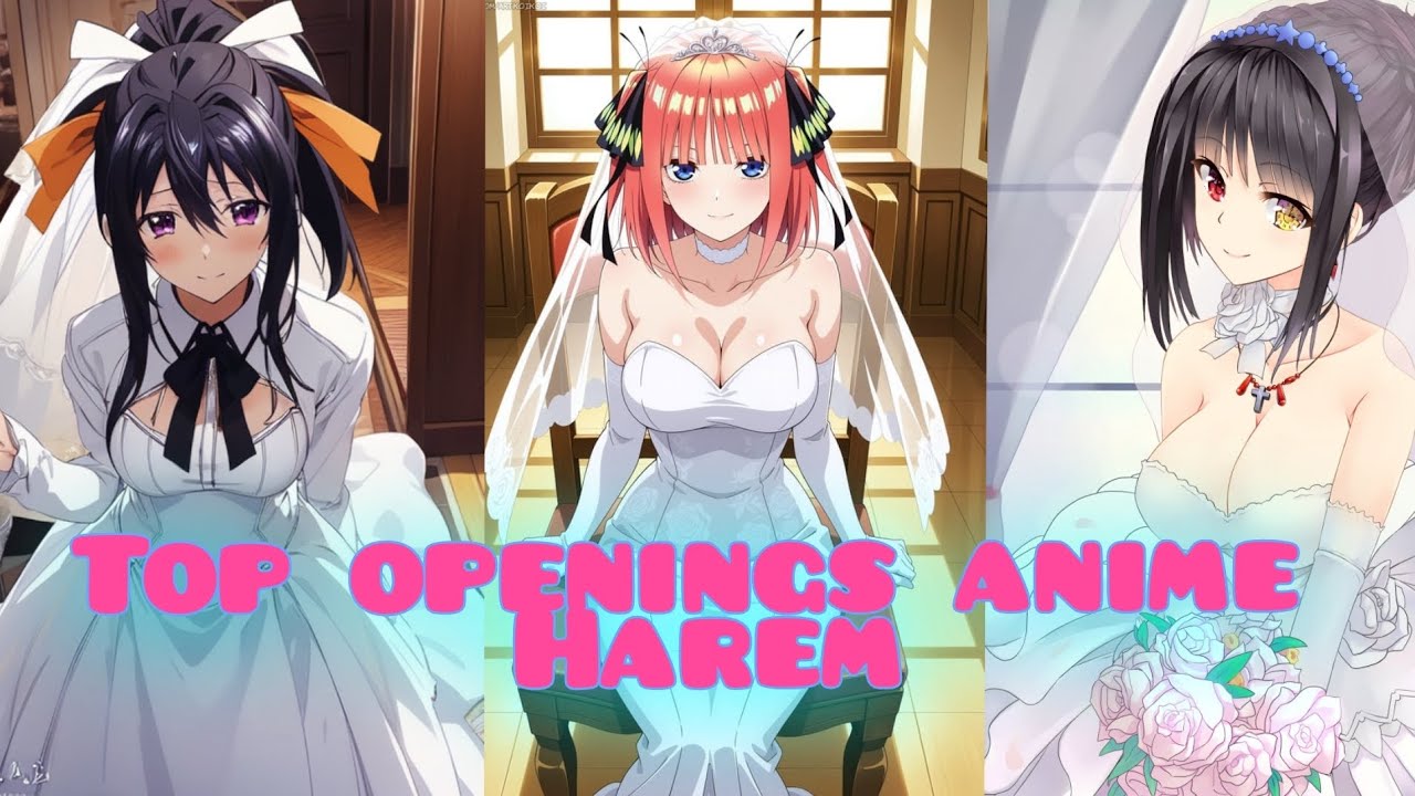 TOP 100 OPENINGS ANIME HAREM 