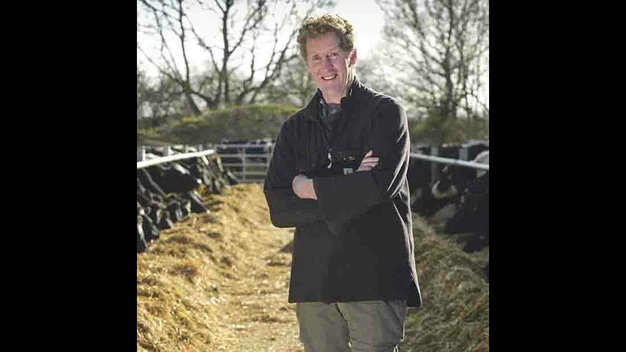 Milking 800 cows once a day in two herds