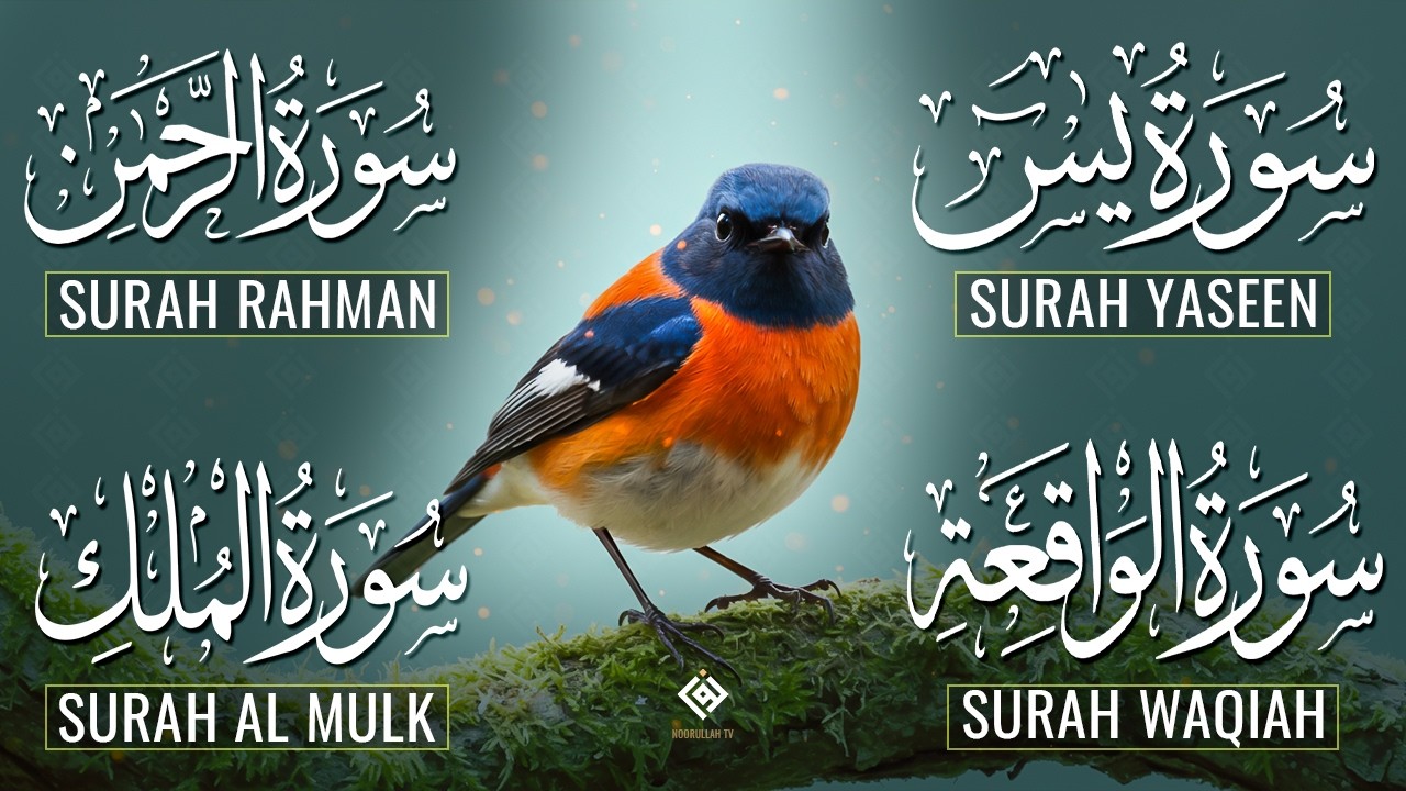 The Best Recitation Surah Yaseen (Yasin) | Surah Rahman | Surah Waqiah | Surah Mulk