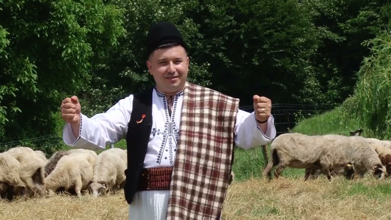 Marius Țugulescu - Sunt cioban din Vaideeni