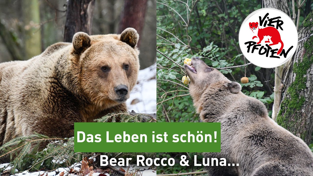 Rocco und Luna sind nicht mehr einsam | VIER PFOTEN