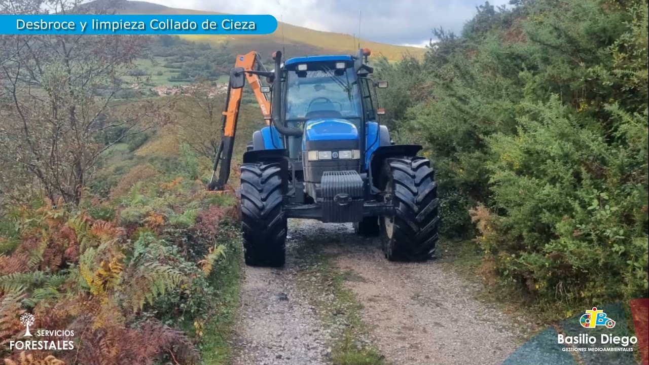 Desbroce y limpieza Collado de Cieza - Cantabria