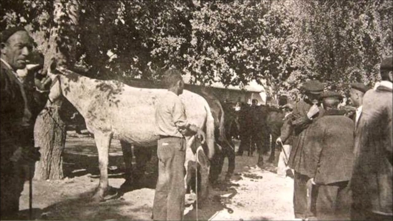 COCENTAINA - Imágenes para el recuerdo #ImatgesAntigues #cocentaina