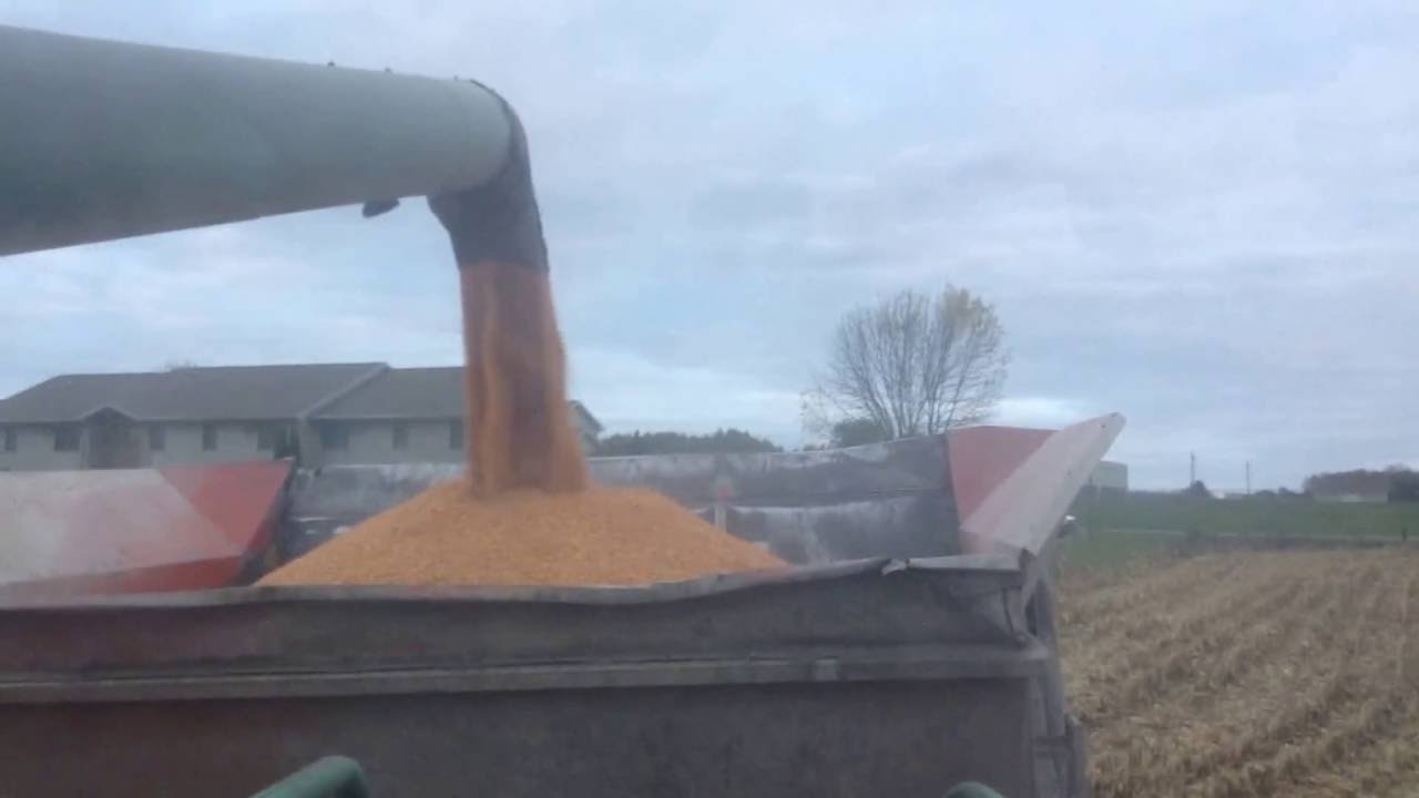 Combining corn with both of our machines !