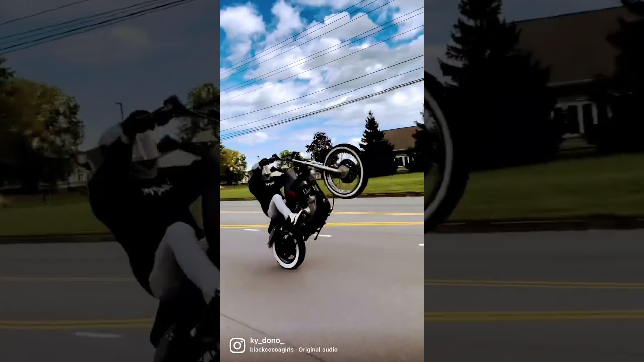 Harley Davidson Sportster 1200 #stunt #bikelife #niceweather #dangerous #donttryathome #wheelie